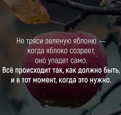 Всему свое время, или почему не во время совершенное действие может  разрушить вашу жизнь! | ⚜Ведьмины заметки⚜ | Дзен