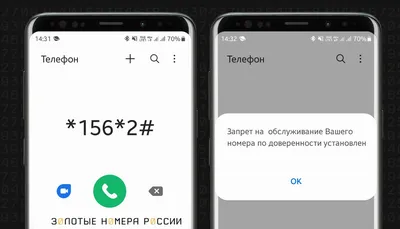 Тикток запрет на мобильные телефоны для бизнеса во Франции