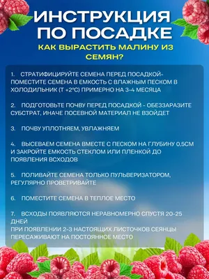 Выплата 5000 рублей детям до 3 лет с апреля 2020 года на три месяца: кому  положено, как получить в ПФР