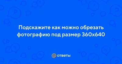 Ящик для инструментов на колесах Haisser Heavy 450 х 360 х 640 мм (90112)  (ID#1886346792), цена: 1953 ₴, купить на Prom.ua