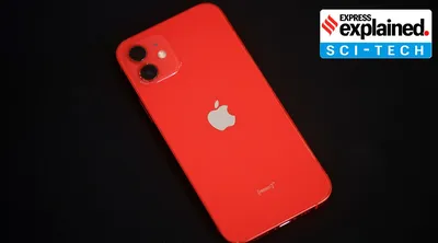 IPhone 12 Pro Max Schutzhüllen aus Walnuss | Woodcessories, 34,90 €