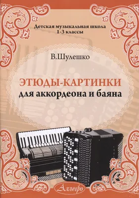 Бюджетный электронный аккордеон своими руками — eAccordeon — IST Knowledge