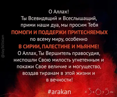 Аллах послал пророков всем народам. Куда они делись? | ТРИКСТЕР | Научно о  религии | Дзен