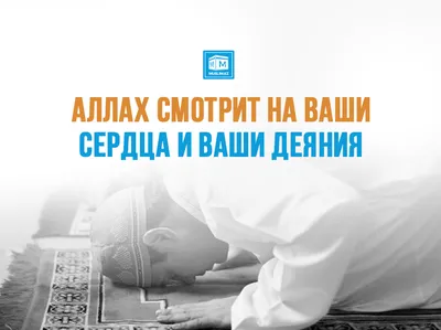 Аллах Название Арабская - Бесплатное изображение на Pixabay - Pixabay