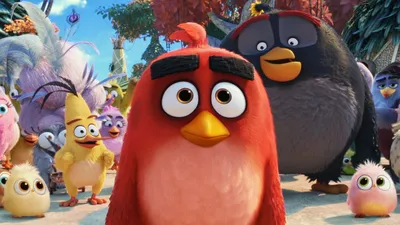 Buy The Angry Birds Movie - Microsoft Store