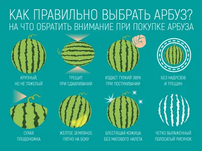 Арбуз ягода, фрукт или тыквина - описание и характеристики. Топ 5 вкусных  рецептов.