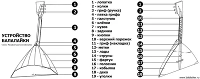 Балалайки✴️ цены, купить балалайку в Киеве, Харькове, Днепре, Одессе,  Львове, Украине, отзывы, заказать, продажа в магазине МузЛайн №1️⃣