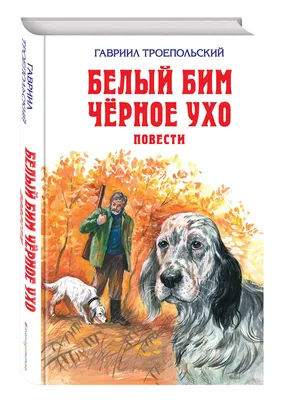 Белый Бим, Чёрное Ухо»: увидят ли его наши внуки? - Мнения Воронежа -