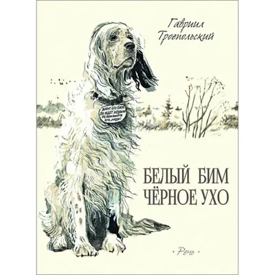 Книга Белый Бим Черное ухо: повесть - купить детской художественной  литературы в интернет-магазинах, цены на Мегамаркет | 978-5-08-006970-3