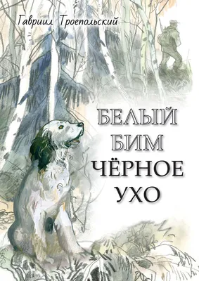 Лесси была мальчиком, Белый Бим умер в приюте. 10 историй об  актерах-животных - Газета.Ru