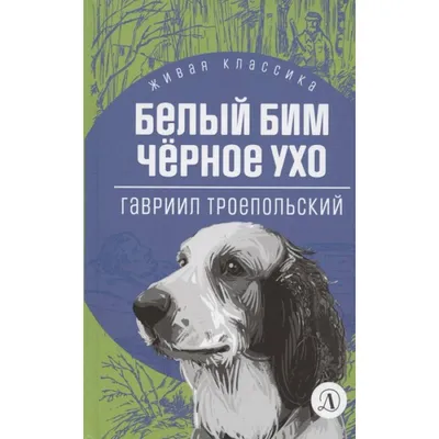 Фильм «Белый Бим Черное ухо» (1977): актеры, судьба, роли, советский - 24СМИ