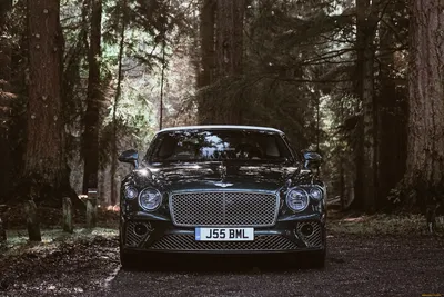 Фото Bentley 2020 Continental GT V8 красных машины