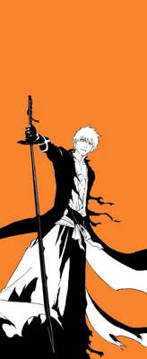 Bleach