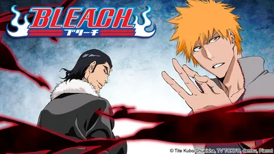 Bleach: Brave Souls Official｜KLabGames