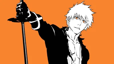 Bleach: Gotei 13