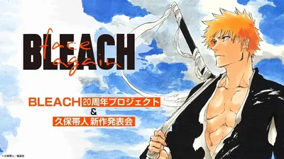 Bleach - Kurosaki Ichigo 1/4 Scale Statue - Spec Fiction Shop