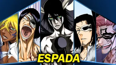 Espada | Bleach Wiki | Fandom