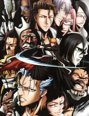 Bleach : el alma de la espada: 9788496706989: Palma Reig, Delfina: Books -  Amazon.com