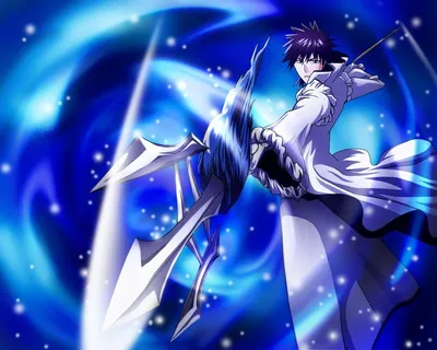 Download Aaroniero Arruruerie - Espada No. 9 of Bleach Anime Series  Wallpaper | Wallpapers.com