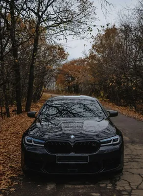 BMW M5 — Википедия