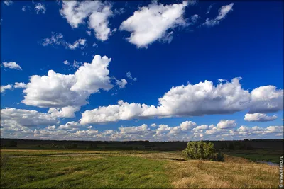 Подсолнухи фото высокого разрешения, фотобанк поле подсолнухов для фотообоев