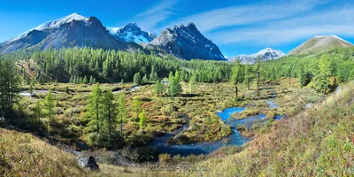 ♛ Эксклюзивные фотообои на кухню ⋆ моющиеся и под покраску.