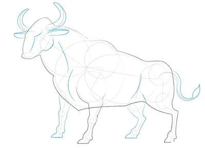 Как нарисовать быка цветными карандашами (пошаговый урок) | Сельская Газета  | Дзен