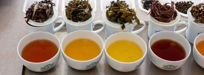 Свойства чая. Полезные статьи из мира чая от Ahmad Tea