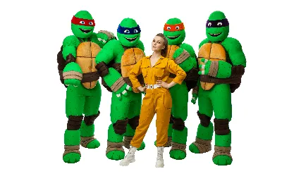 Фигурка TMNT Черепашки-ниндзя Леонардо 12см 90616 купить в Барнауле -  интернет магазин Rich Family