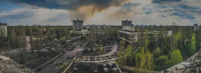 Биолог назвала Чернобыль пригодным для жизни людей