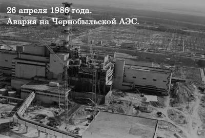 10+ шокирующих фото из Чернобыля о том, как природа побеждает цивилизацию