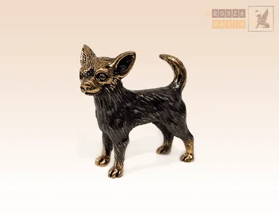 Продажа щенков чихуахуа/chihuahua/Tati From House Kennel