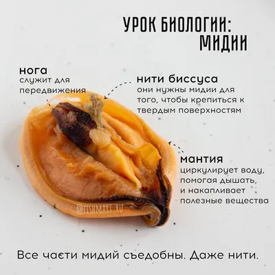 Какие фрукты можно сушить в электросушилке?