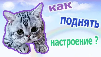 Как быстро поднять настроение, когда нас окутывают холода? Мы знаем  решение! Возьмите любимого человека за.. | ВКонтакте