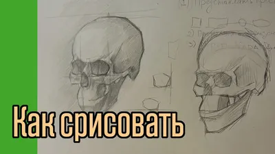 Пробую срисовать