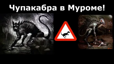 Игрушки: Мифический зверь - Чупакабра Жуть – заказать на Ярмарке Мастеров –  JEXFEBY | Мягкие игрушки, Оленино