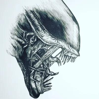 Фигурка Чужого - Aliens Warrior Brown - купить с доставкой по выгодным  ценам в интернет-магазине OZON (262529217)