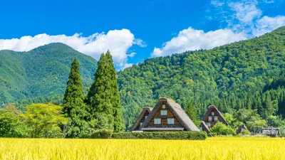 Как живут деревни в Польше? Репортаж из «хорошей» и «плохой» глубинки