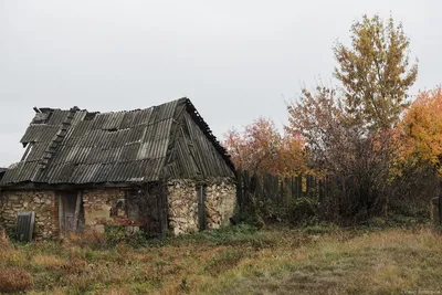 В Калининградской области нашли деревню с фахверком