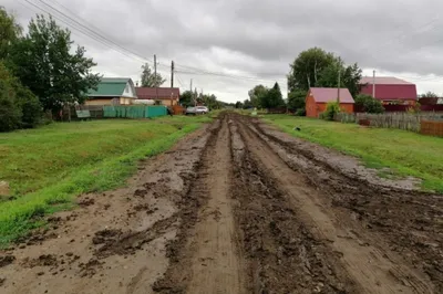 Появились фото из самой отдаленной заброшенной деревни Омской области |  Общество | Омск-информ