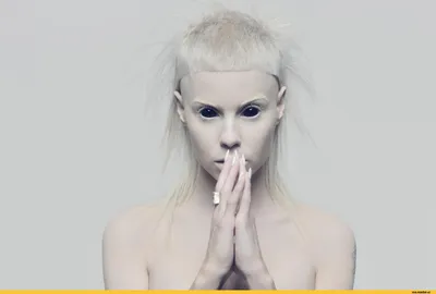 Pin by Tomas Kucera on U .L TTIMO STHE.. TICC | Die antwoord, Yolandi visser,  Eminem