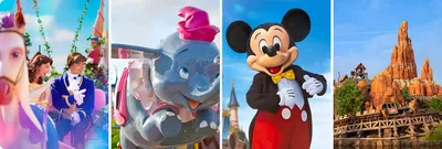 Disney Vacation Tips and Advice | planDisney