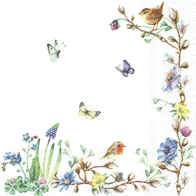 Картинки для декупажа. Птицы и бабочки. Обсуждение на LiveInternet -  Российский Сервис Онлайн-Дневников