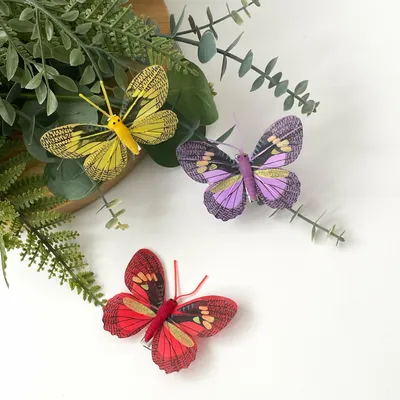 Бабочки домашние цветы - 64 фото