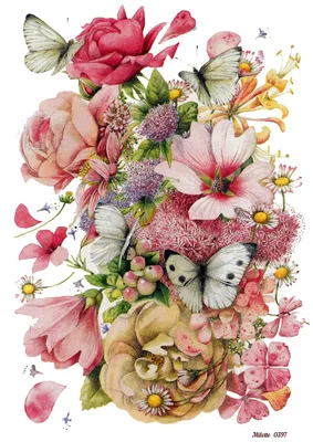 Полевые цветы и бабочки рисунок - 54 фото