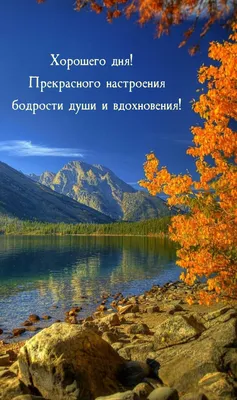 Не теряйте хорошего настроения, а то другие подберут!..ツ | Зеркало твоей  души | ВКонтакте