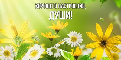 Настроение Души - Настроение Души added a new photo.