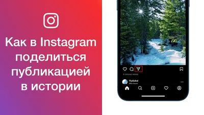 Что происходит? Instagram начал запрещать публиковать фото из ленты в  Истории | AppleInsider.ru