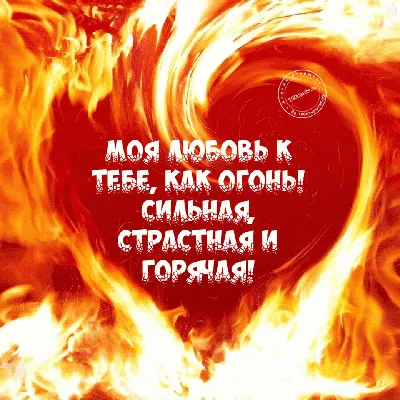Отмечай любимого человека 👇🏻❤️ Первый час лайкаю ВСЕХ, кто напишет слово  «ДУША» по буквам ❤️ #vsepredayut_ #dushok007 | Instagram