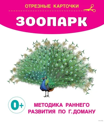 Купить книгу «Сказки ко дню рождения. Весёлые истории для малышей», Валерий  Горбачёв | Издательство «Махаон», ISBN: 978-5-389-18086-4